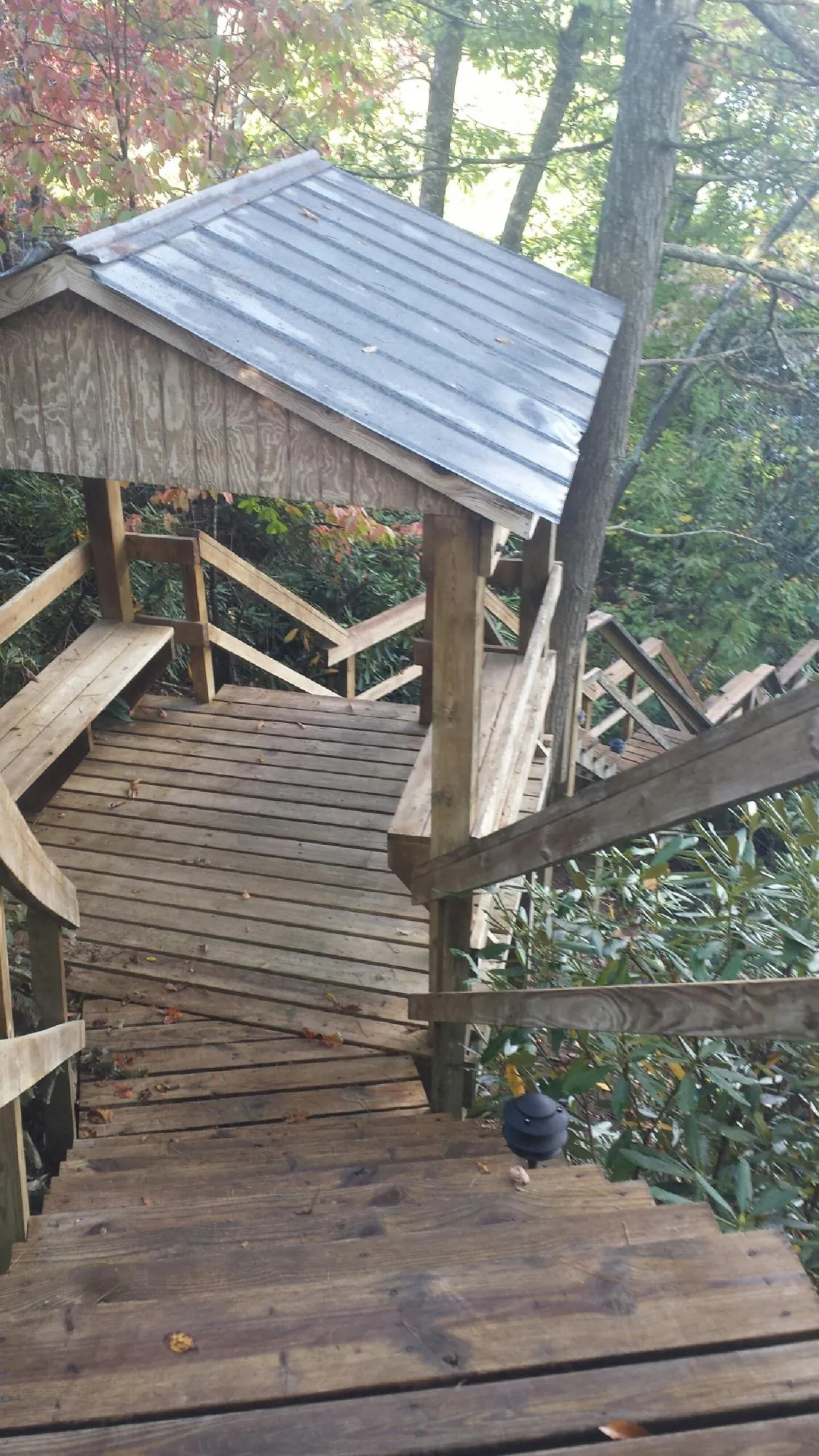 Metal roofed shelter over wooden steps on a wooded walkway — Skylight Repair & Installation work by our crew in Senoia